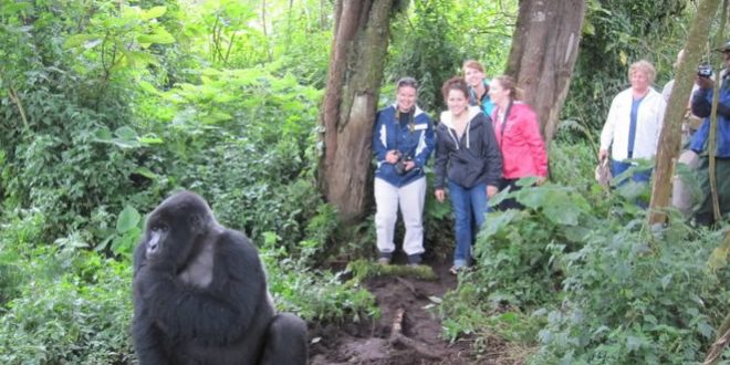 Gorilla packing list to Uganda