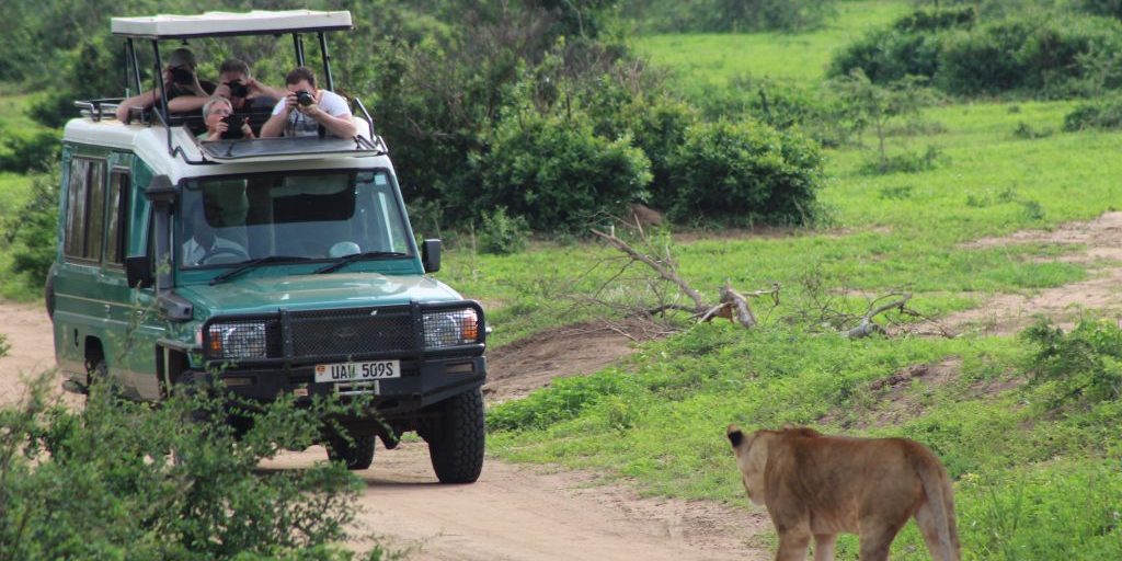 Things to avoid when renting a car in Uganda